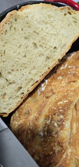 a5ff75e0-03ec-4730-b8af-21e1889d9393