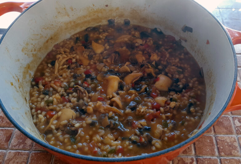 arroz meloso con chipirones y boletus 2(1)