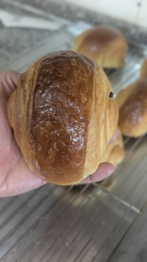 d6613375-da87-4c8d-8707-a7911ceaaf1e