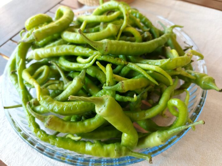 e00a7278-c453-4b80-9b97-b04197ac00e8