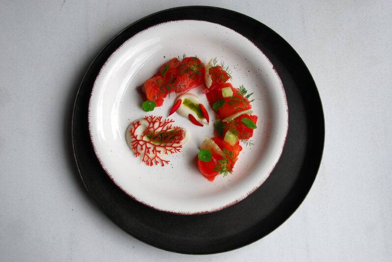 gravlax de salmón 2 Beatriz Torija