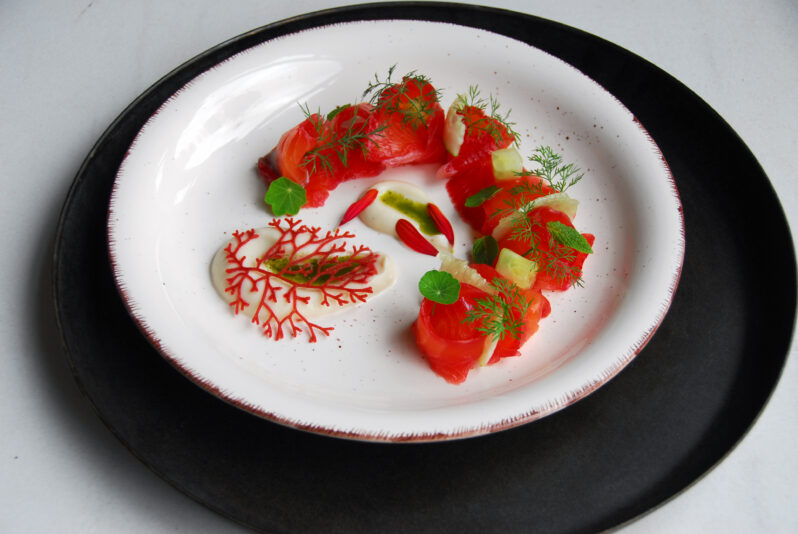 gravlax de salmón 3 Beatriz Torija