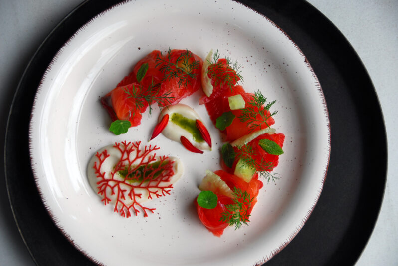 gravlax de salmón 4 Beatriz Torija