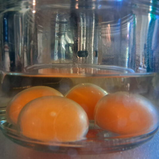 tartar de calamar 10 cocinando yemas en aceite de girasol a baja temperatura