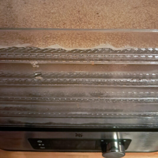 tartar de calamar 8 deshidratando amaranto