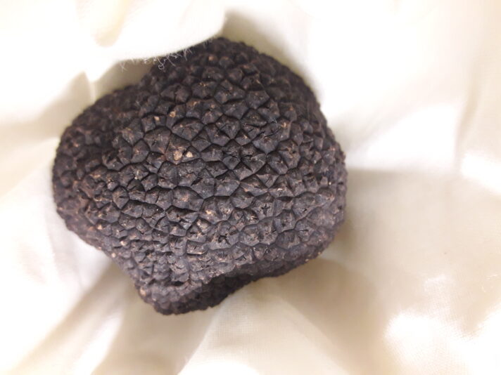 trufa 1 beatriz torija