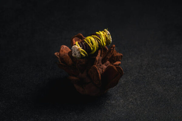 tuberculos-texturas-768x512