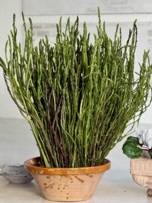 116EB7AA-06EF-4D98-BA42-CC8D4FEB91E8