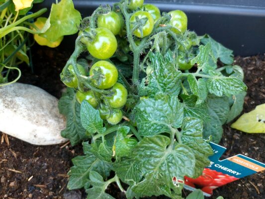 27b4db07-d35a-4a0a-9aeb-2146c9d45a7b