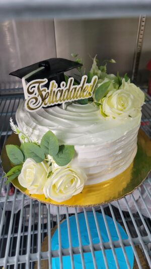 2e0d6f43-e23b-4df6-8b8a-c480843cc409