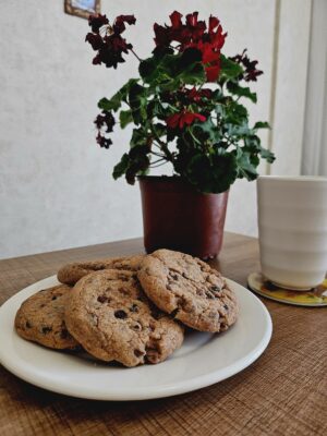 4377fef1-3bef-4636-887d-f4cd1900270d