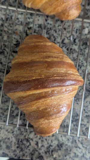 53a0876c-f538-41be-a228-f2167d964778