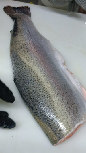 6100bd80-f5a9-454a-a2e0-b31b588fb9c4