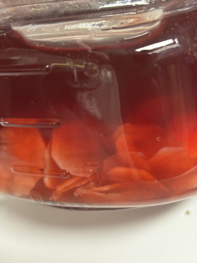 7B21A660-9106-4742-9E6D-08D6188DE11F