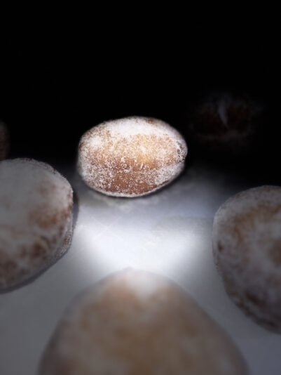 7D8ABC4D-7EBC-478C-98CC-3E3CAFB29086