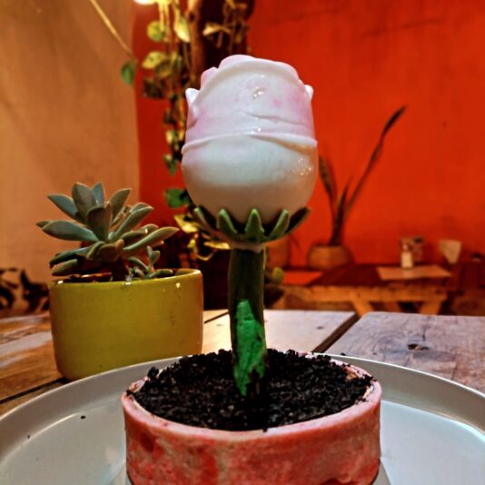 8d907ac6-57bd-48ce-965f-8c56fe9de9bb