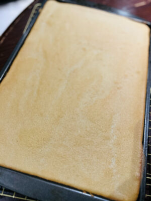 9A19102F-67DC-4838-880C-0C3EAA690172