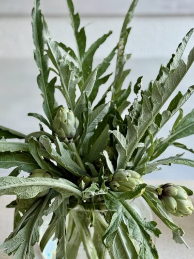 9A5F9709-6F15-4325-8B8A-604637718756