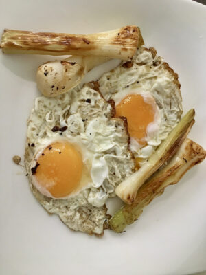 A459D87A-8E0B-41FE-850C-EF142ADF1D9F