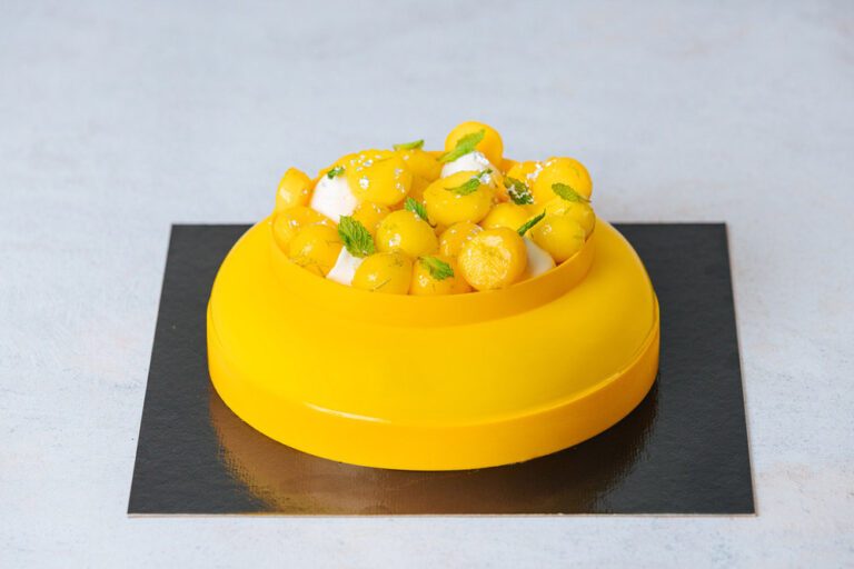 Entremet-de-Mango