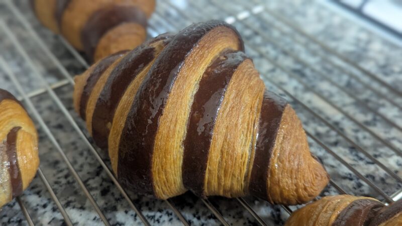 PXL_20250315_223709347.PORTRAIT