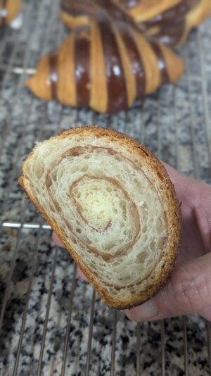 PXL_20250315_224257397.PORTRAIT