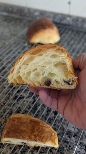 PXL_20250402_121241008.PORTRAIT