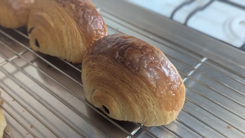 PXL_20250417_104023697.PORTRAIT