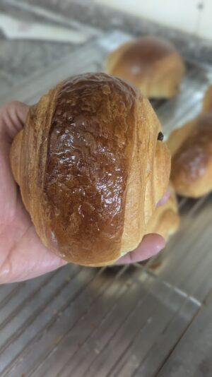 PXL_20250417_104047997.PORTRAIT