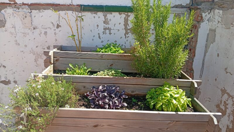 WhatsApp Image 2025-05-03 at 22.49.41 (1)