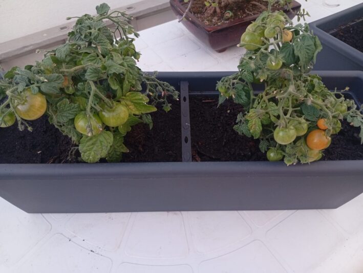 WhatsApp Image 2025-05-20 at 22.58.37 (1)