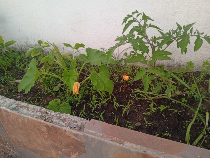 WhatsApp Image 2025-05-20 at 22.58.37 (2)