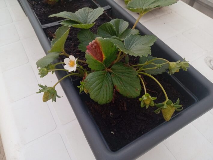 WhatsApp Image 2025-05-20 at 22.58.37