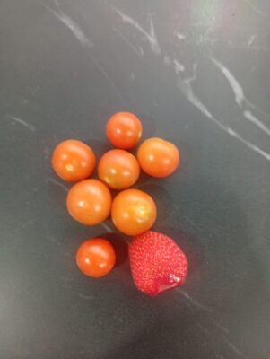 WhatsApp Image 2025-05-29 at 19.05.20