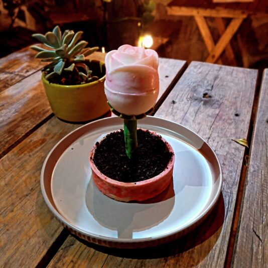 f14a5601-2549-4933-9f02-e5c66616380b