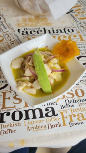 491b3a17-a584-400c-b3cf-c6ef4370e1a5