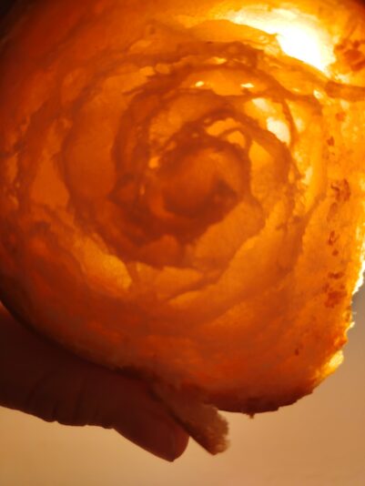 59de40d4-07a3-417f-b06b-9443d8088aef