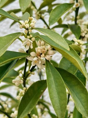 704A51CF-68EF-4484-B095-7EBA123F6C98