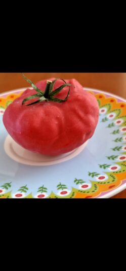 Screenshot_20250625_161843_Gallery