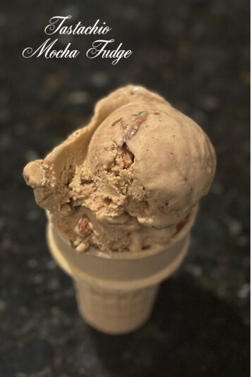 Tastachio Mocha Fudge V1