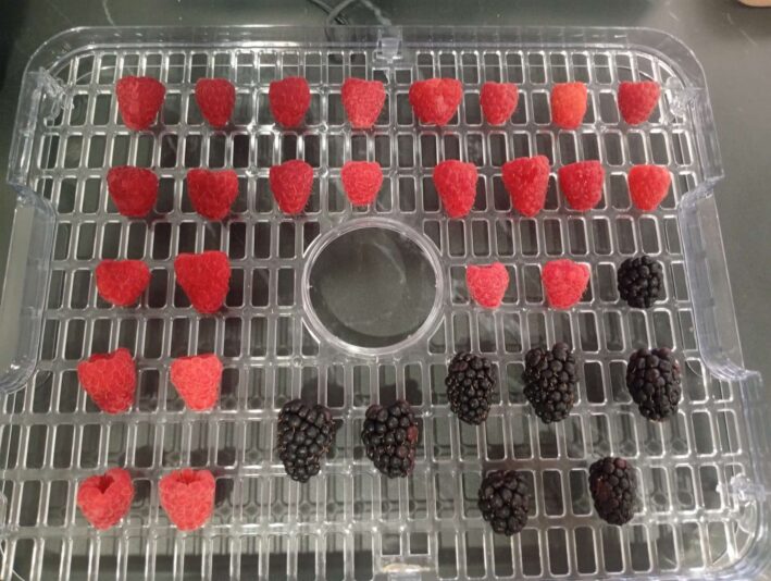 WhatsApp Image 2025-06-22 at 10.41.09