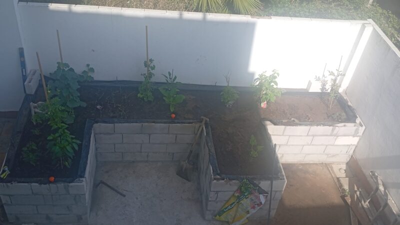 WhatsApp Image 2025-06-22 at 10.49.56