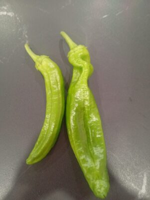 WhatsApp Image 2025-06-27 at 11.33.08