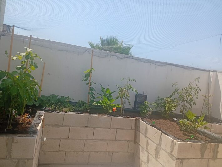 WhatsApp Image 2025-06-30 at 16.00.24 (1)