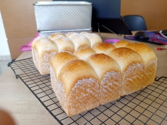 c7436cf2-fa1e-405a-9b3b-711d9448e008