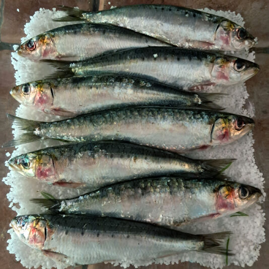sardinas a la sal 1 beatriz torija