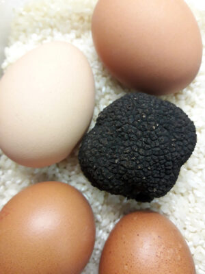 trufar huevos beatriz torija