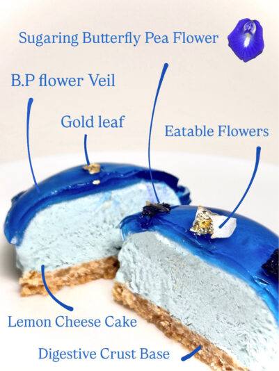 010B73E1-924C-4AFD-9CF9-4147F2C94AD2