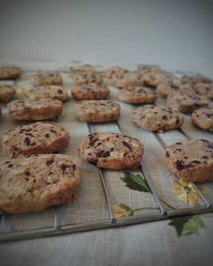 1bdf399d-9e19-4350-a4a1-635ffe6f3095