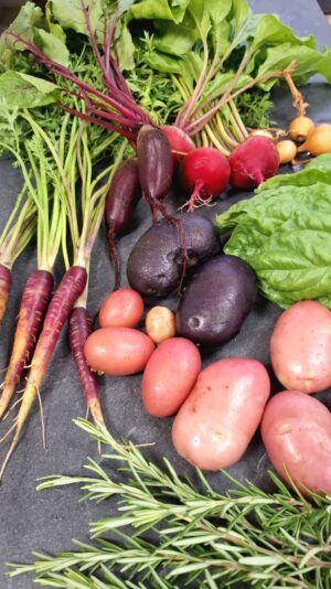 27879ac4-b8d9-48e0-ab2f-68240736059d